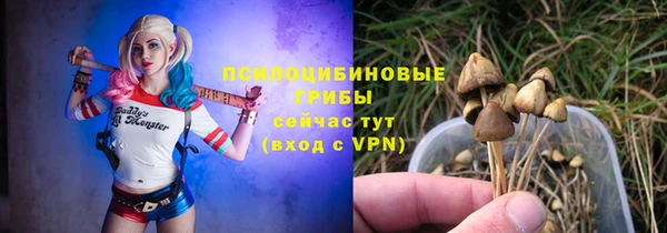 амф Богородск