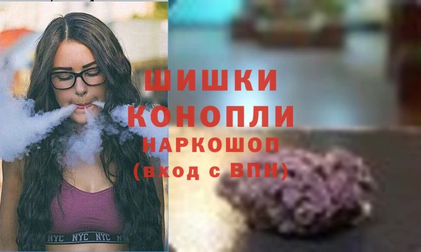 ПСИЛОЦИБИНОВЫЕ ГРИБЫ Богданович
