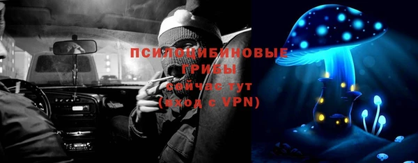 ПСИЛОЦИБИНОВЫЕ ГРИБЫ Богданович
