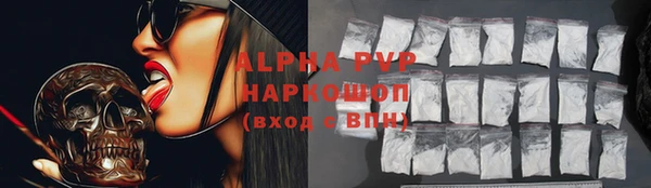 ПСИЛОЦИБИНОВЫЕ ГРИБЫ Богданович