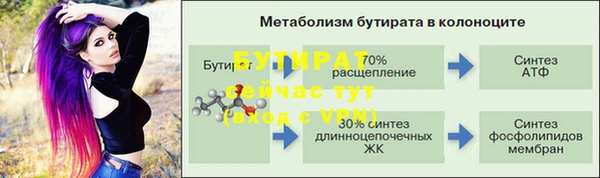 ПСИЛОЦИБИНОВЫЕ ГРИБЫ Богданович