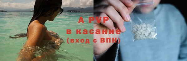 ПСИЛОЦИБИНОВЫЕ ГРИБЫ Богданович