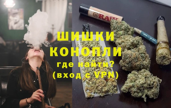 ПСИЛОЦИБИНОВЫЕ ГРИБЫ Богданович