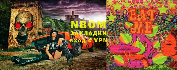 ПСИЛОЦИБИНОВЫЕ ГРИБЫ Богданович