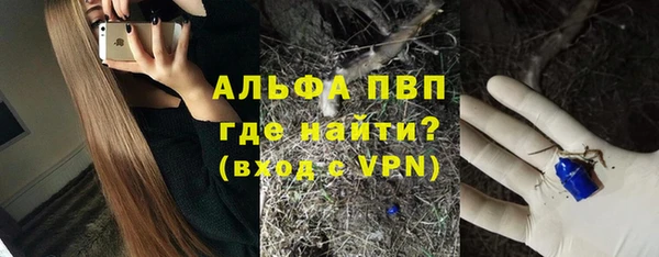 ПСИЛОЦИБИНОВЫЕ ГРИБЫ Богданович