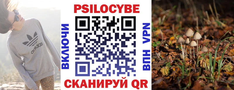 Псилоцибиновые грибы Psilocybine cubensis  ОМГ ОМГ зеркало  Нижний Тагил 